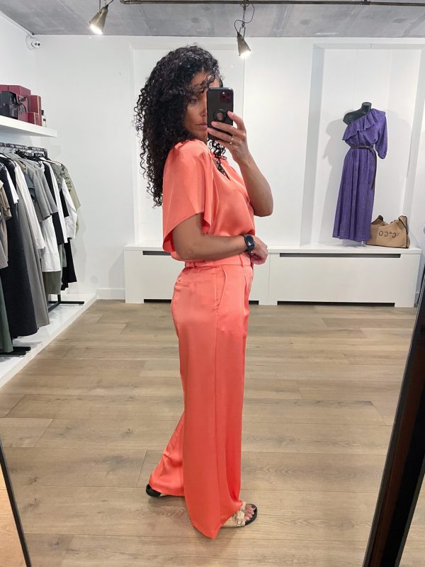 Dante6-Jules-Satin-Look-Wide-Leg-Pants-251150-7700